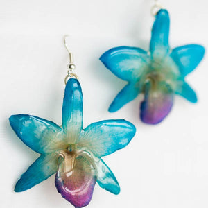 Flower Earrings blue nobile real orchid earrings orchid earrings