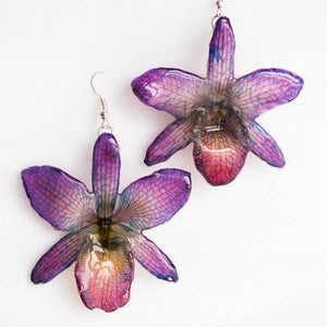 purple nobile real orchid earrings