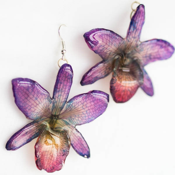 purple nobile real orchid earrings