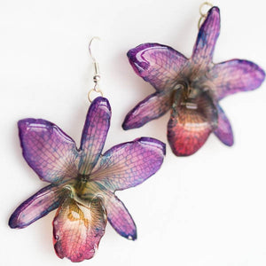 purple nobile real orchid earrings