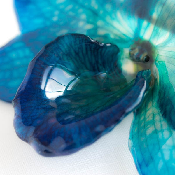 Blue Nobile Orchid pin.