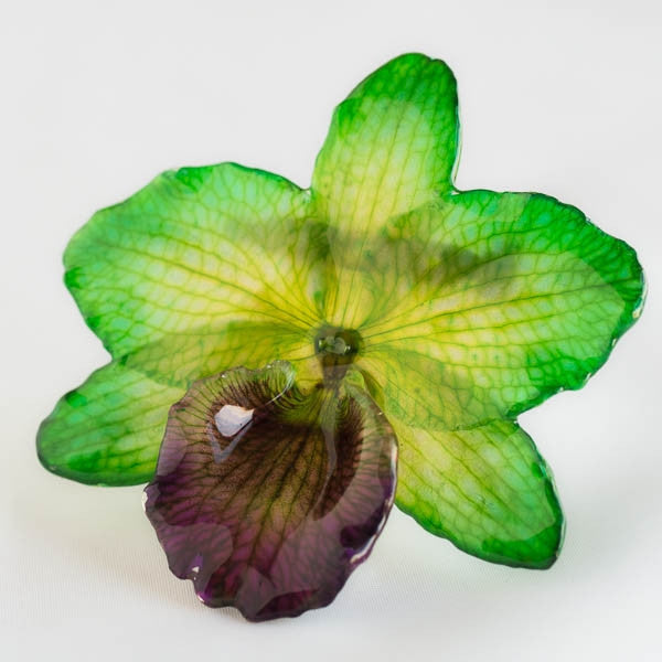 Green Purple Nobile Orchid pin.