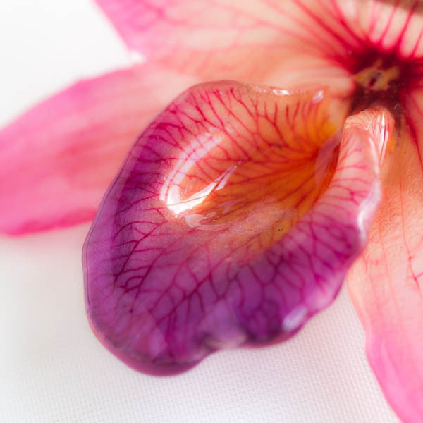 Pink Purple Nobile Orchid pin.