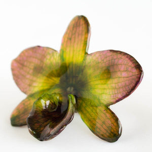 Purple Green Nobile Orchid pin.