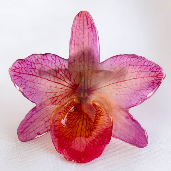 Purple Pink Nobile Orchid pin.