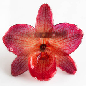 Purple Red Nobile Orchid pin.