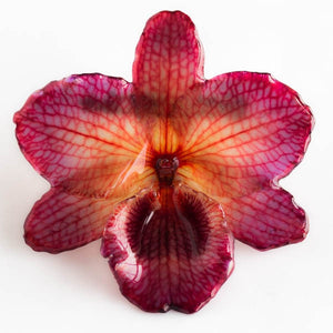 Purple Nobile Orchid pin.