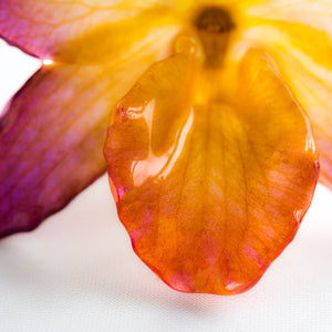 Purple Yellow Nobile Orchid pin.