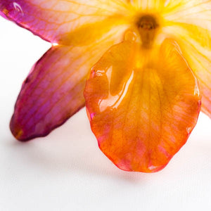 Purple Yellow Nobile Orchid pin.