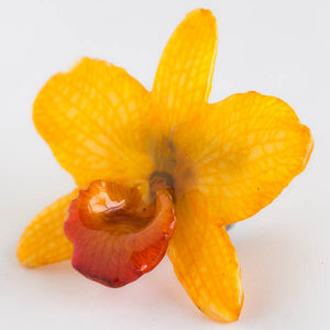 Yellow Pink Nobile Orchid pin.