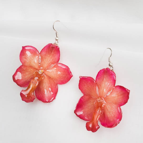 Flower Earrings Pink White Vascostylis Real Orchid Flower Earrings