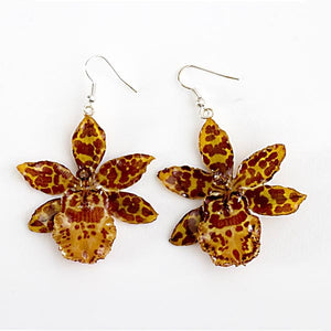 Yellow Tiger Orchid Earrings
