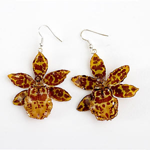 tiger lily earrings Yellow Tiger Orchid Flower Earrings