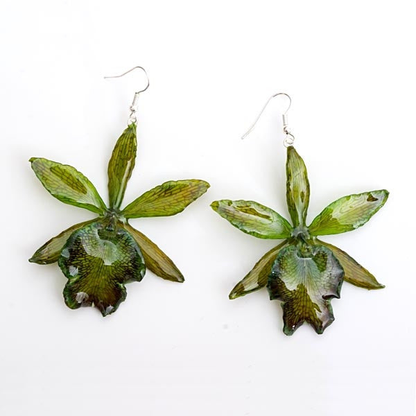 Flower Earrings green cattleya orchid earrings