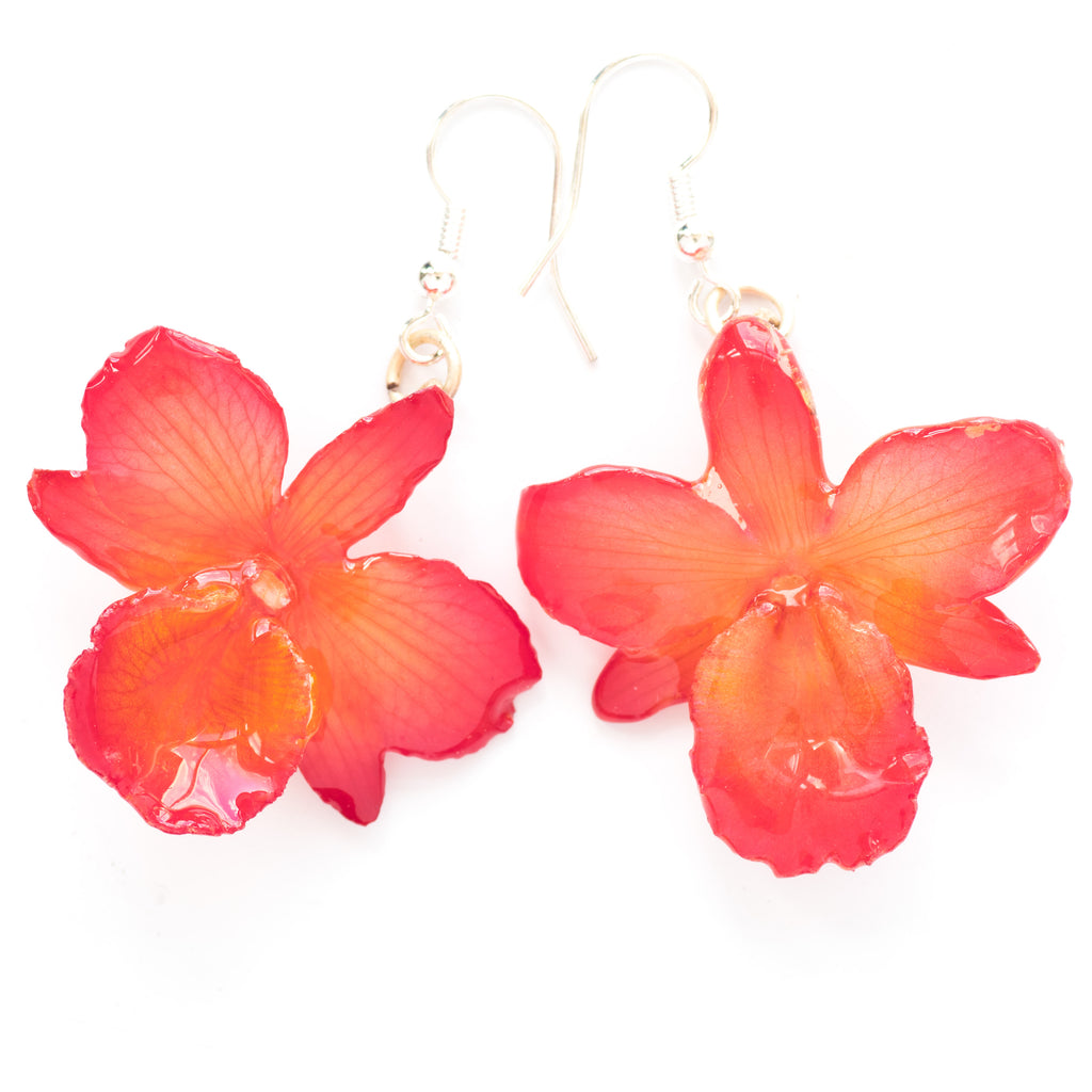 Flower Earrings Pink Chrysotoxum Orchid Earrings