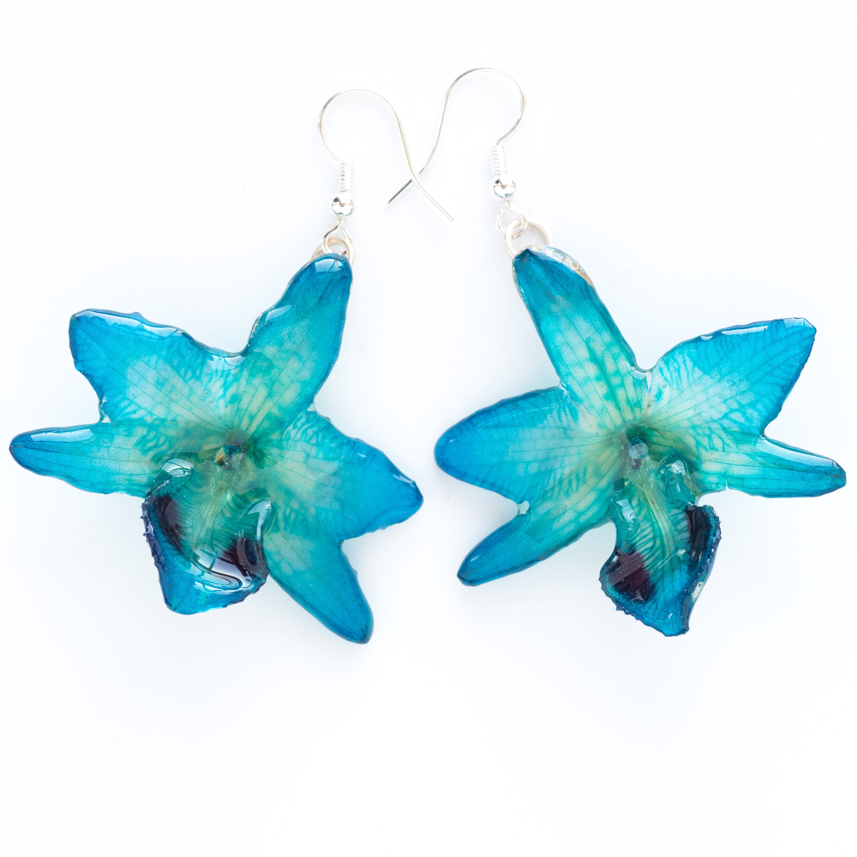 Flower Earrings Blue Parishii Orchid Earrings