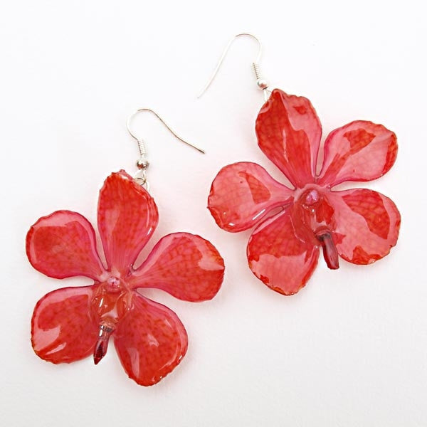 Flower Earrings Pink Mokara Orchid Earrings