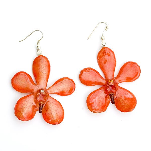 Flower Earrings Orange Mokara Orchid Earrings