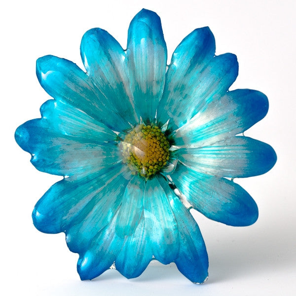 Blue Chrysanthemum Pin.