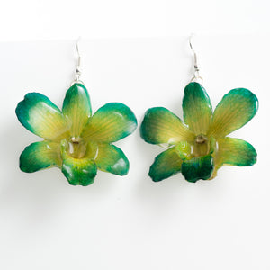 Flower Earrings Green Yellow Dendrobium Fancy Orchid Earrings