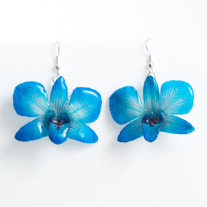 Flower Earrings Blue Dendrobium Caren Orchid Earrings