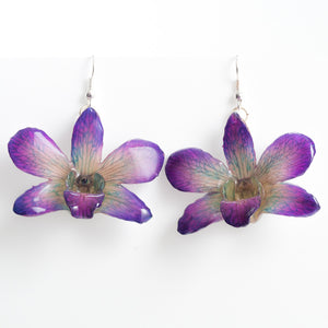 Flower Earrings Purple Dendrobium Fancy Orchid Earrings