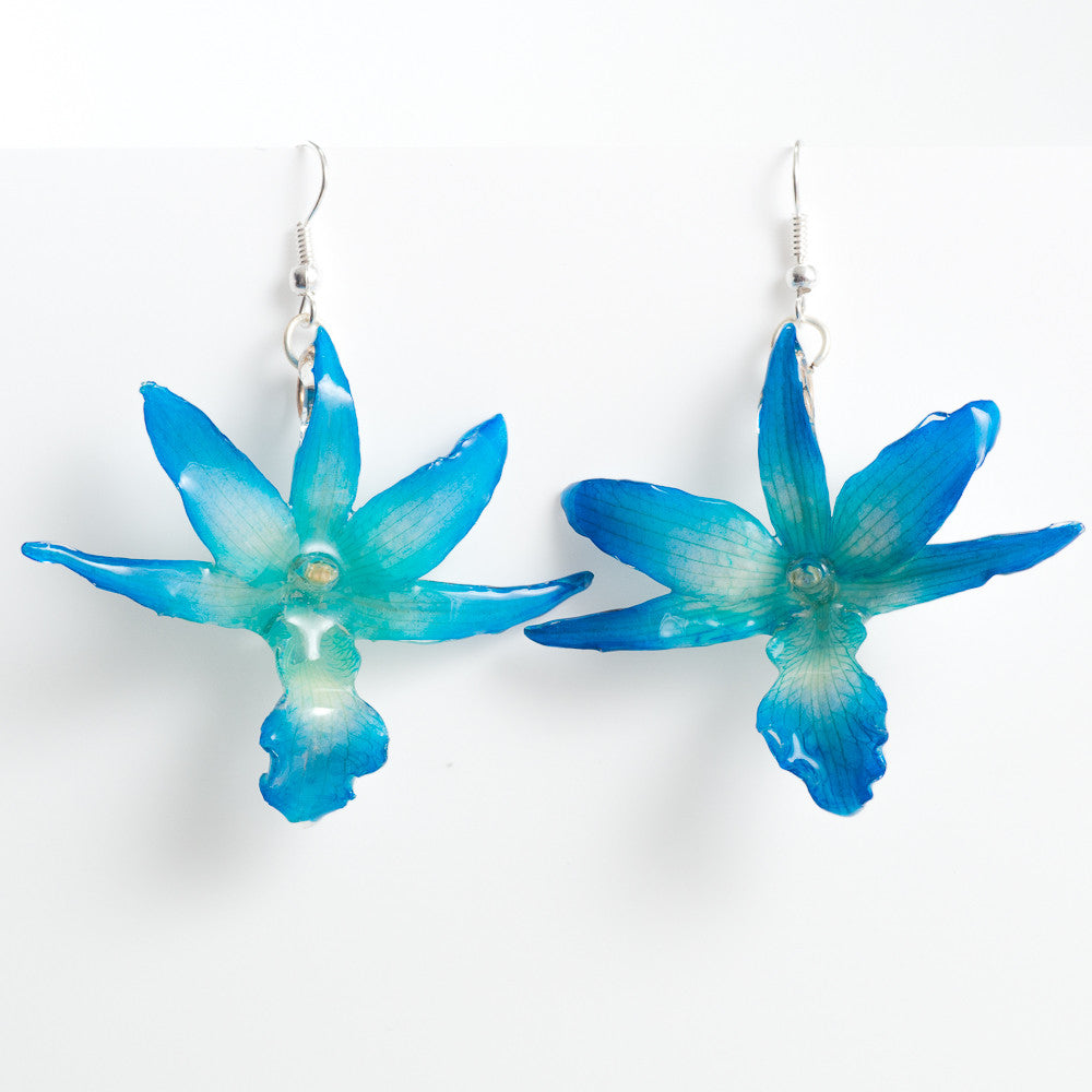 Flower Earrings Blue Draconis Orchid Earrings