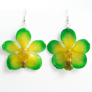 Flower Earrings Green Yellow Vanda orchid earrings