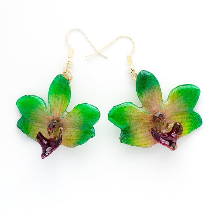 Green Real Orchid Flower Earrings