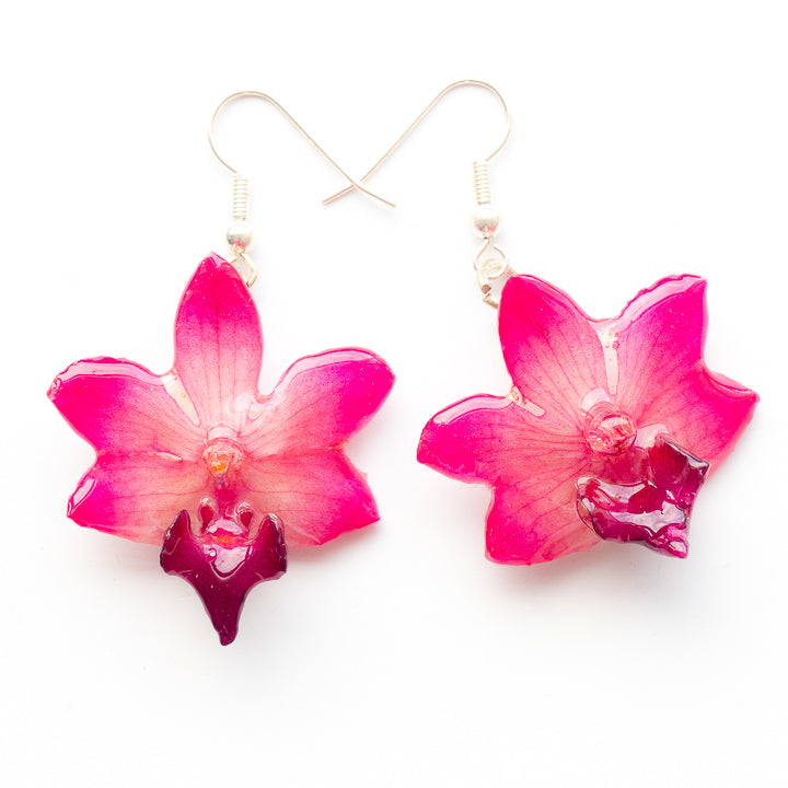 Pink Real Orchid Flower Earrings