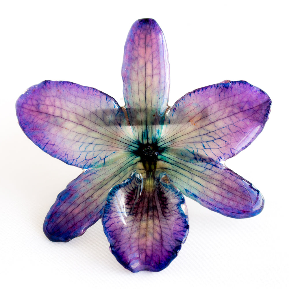 Purple Blue Nobile Orchid pin.